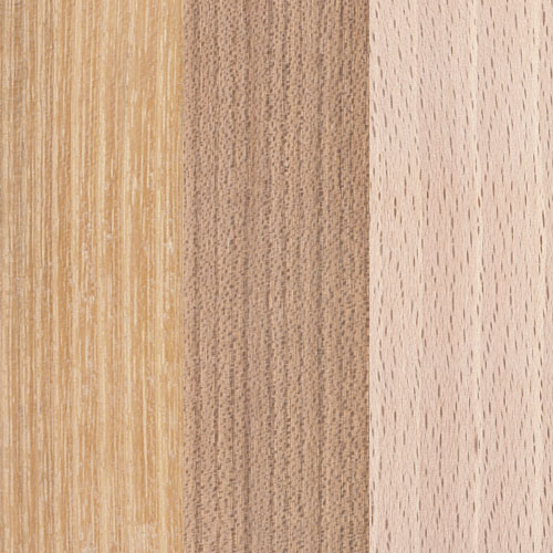 Robinie, Ulme, Buche