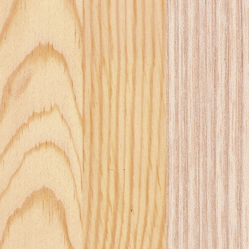 Seekiefer, Rottanne, Fichte